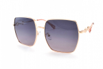 SISSI POLARIZED С ФУТЛЯРОМ 2255 C3 61-16-148 - FASHION-MODA